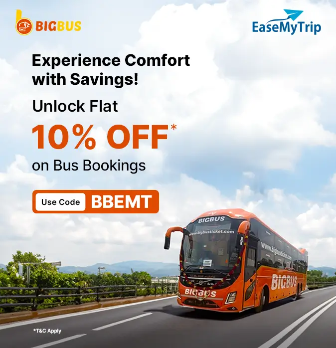 bigbus Offer