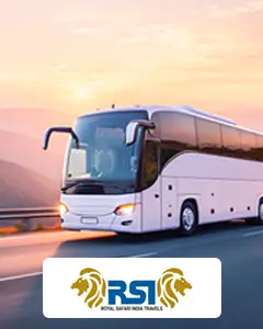 Royal Safari India Travel