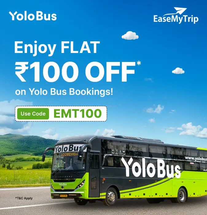 yolo-bus Offer