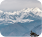 shimla