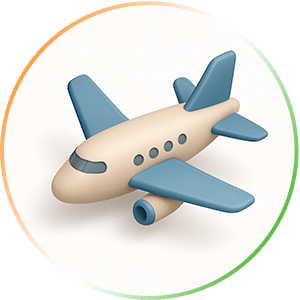 Flight Icon