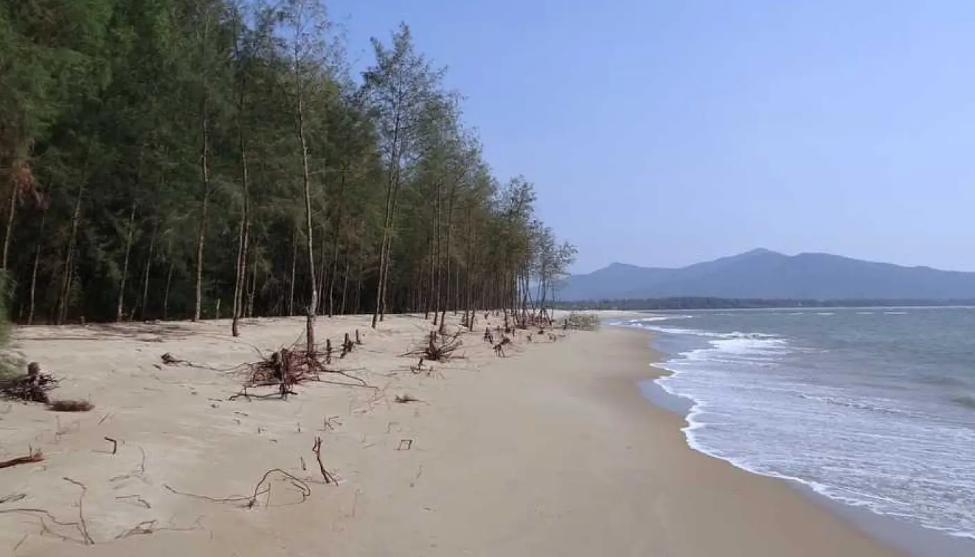 Beach