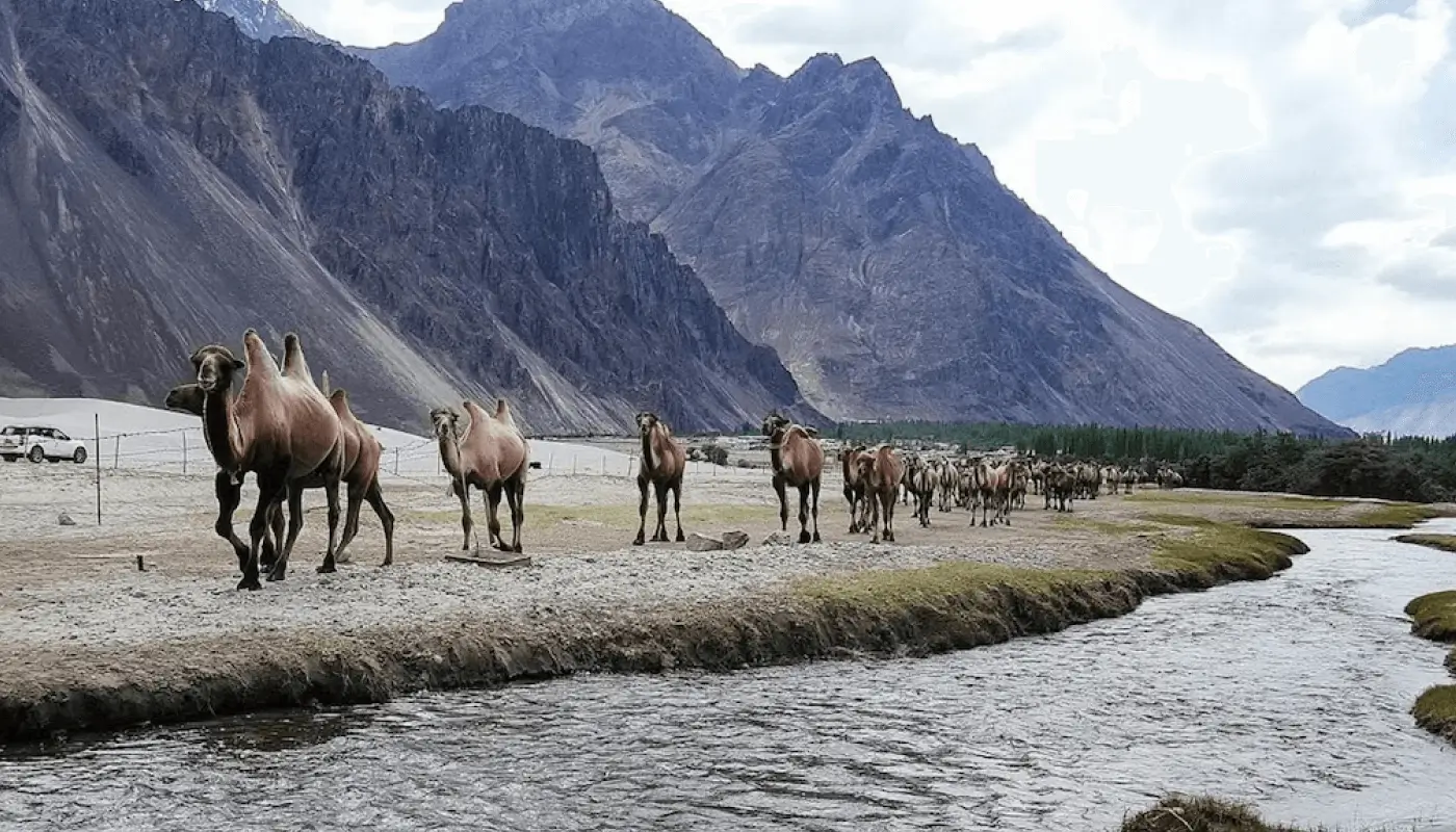 Nurba Valley