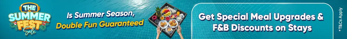 The Summer Fest Sale5