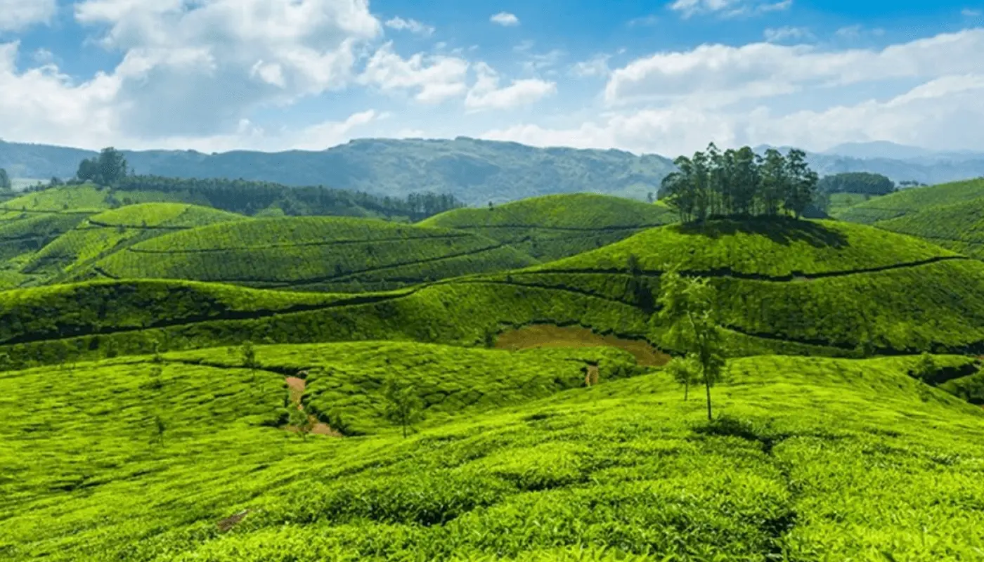 Wayanad