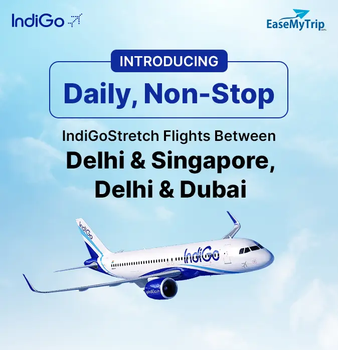indigo-flight-ticket Offer