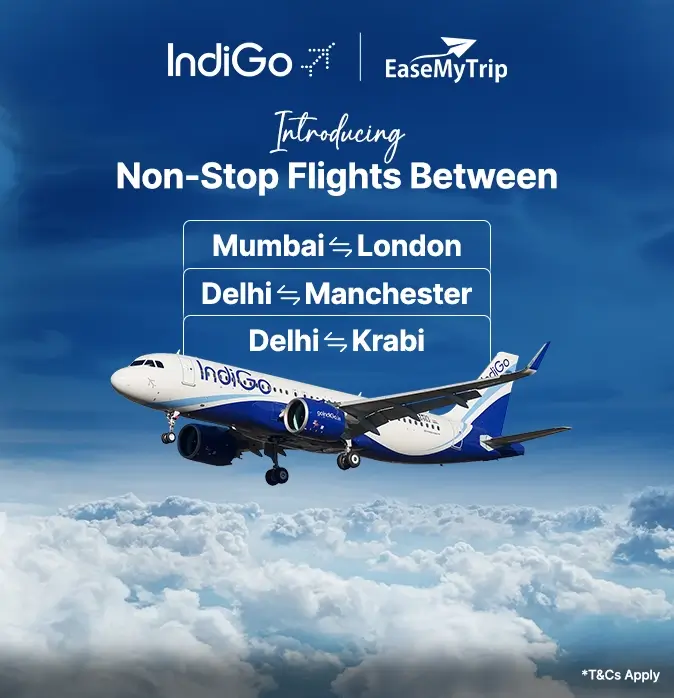 indigo-new-flight-routes Offer