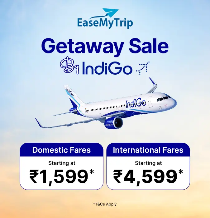 indigo Offer
