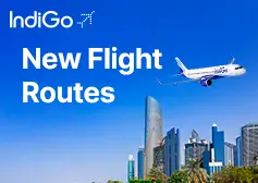 IndiGo