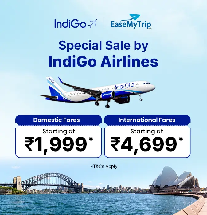 indigo Offer