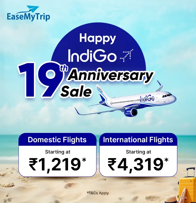 indigo Offer
