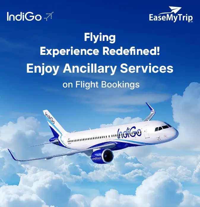 indigo-ae Offer