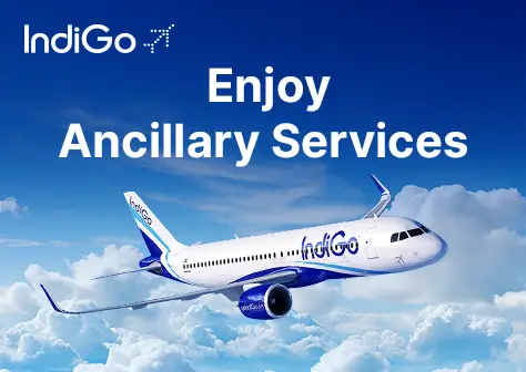 Indigo Offer