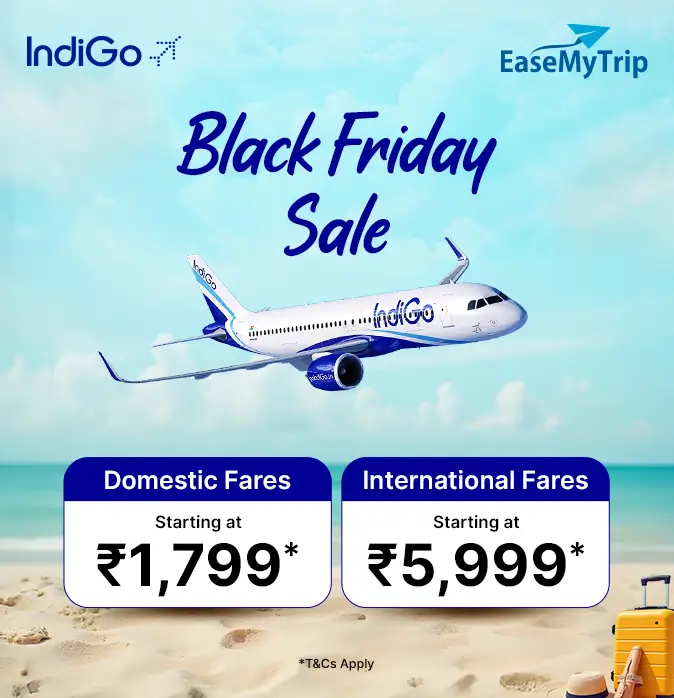 indigo Offer