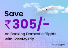 Domestic Flight Sale