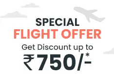 Domestic Flight Offer