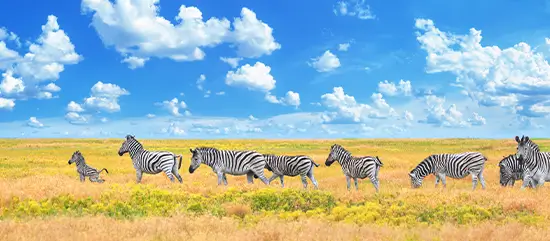Africa