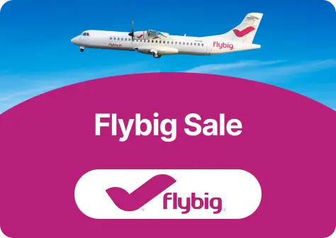 Flybig Sale