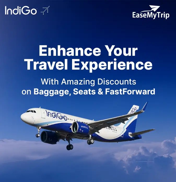 indigo-new Offer