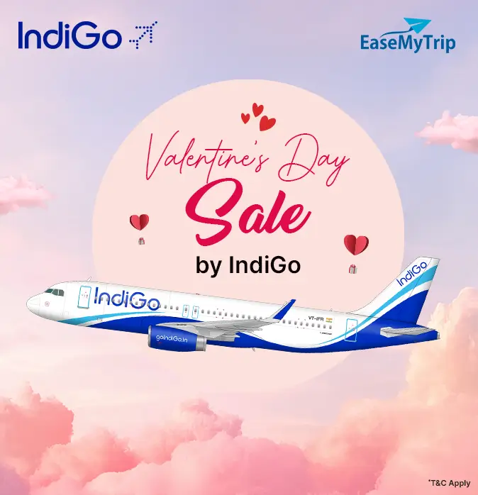 indigo Offer