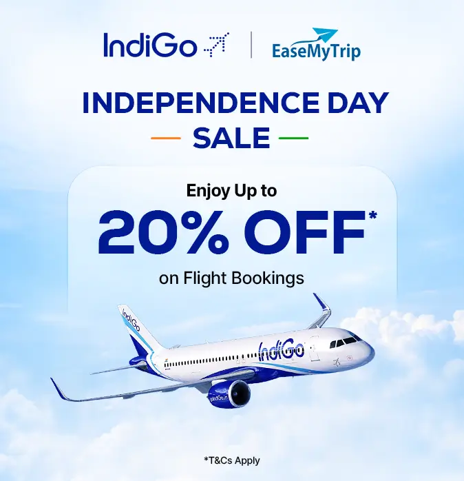 indigo Offer