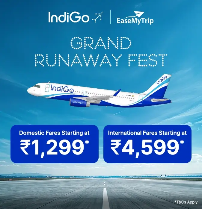 indigo Offer