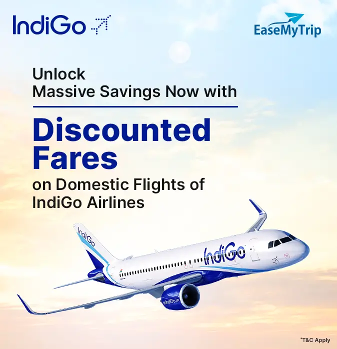 indigo Offer