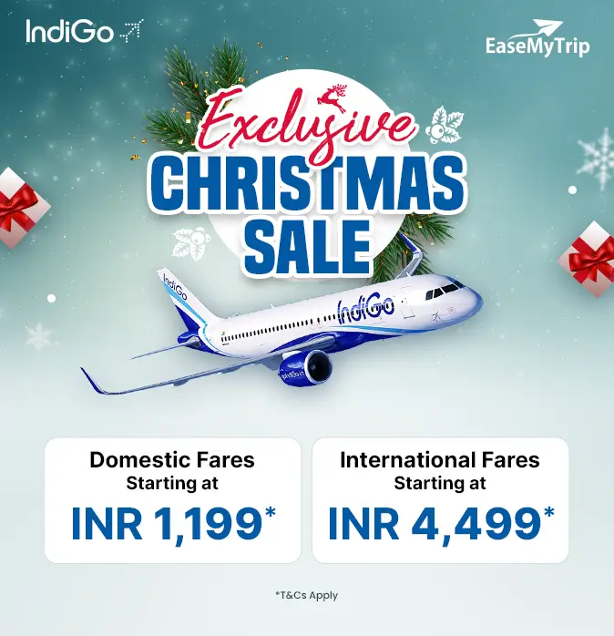 indigo Offer