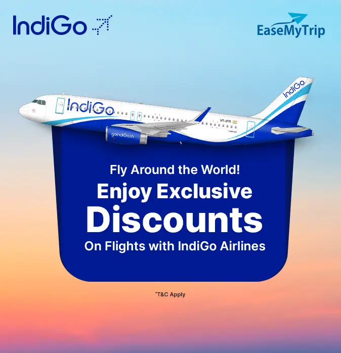 indigo Offer