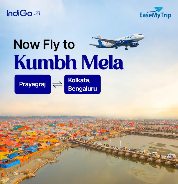 indigo-flight-ticket Offer