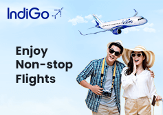 Indigo Non-Stop Flights