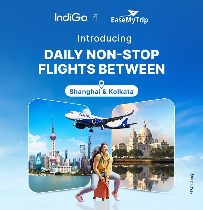 indigo-flight-ticket Offer