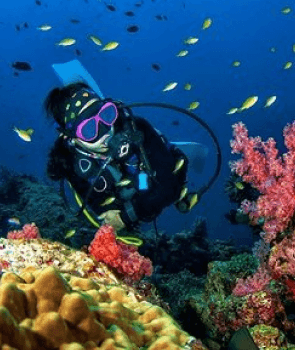 Grand Island Adventure: Diving & Water Sports Thrills 