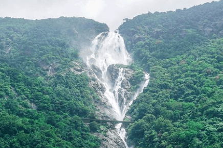  Dudhsagar Waterfalls Spice Plantation with Lunch From Mormugao Port 