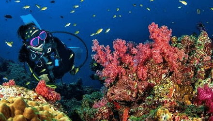 Grand Island Adventure: Diving & Water Sports Thrills