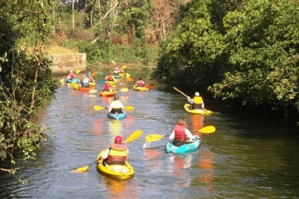 Kayaking Spikes Salonia Back Waters Kayaking Experience