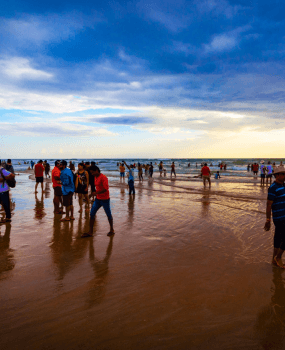 Goa with Zuri White Sands 