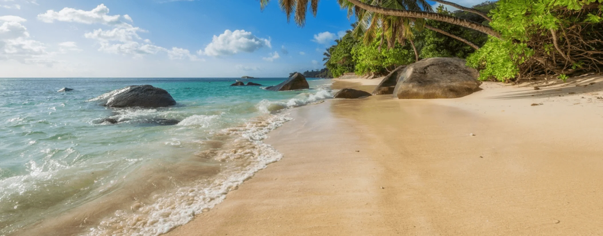 Best Time to Travel to Jamaica: Your Ultimate Guide - EaseMyTrip