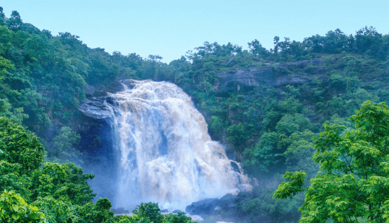 Check-Out Waterfalls