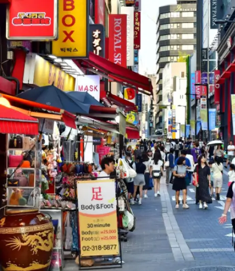 Easemytrip South Korea