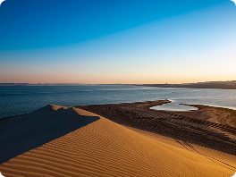 Diamonds In Dunes