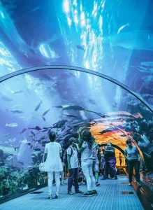 Sharjah Aquarium