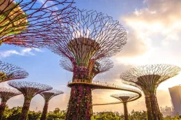 Easemytrip Singapore 