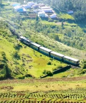 Day Trip to Coonoor - Guided Sightseeing Tour by Car From Ooty