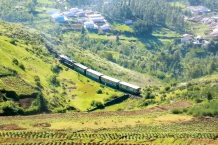 Day Trip to Coonoor - Guided Sightseeing Tour by Car From Ooty