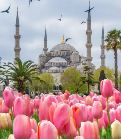 Picturesque Turkiye