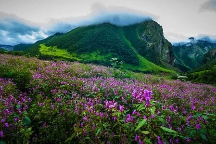 Valley of Flowers and Hemkund Trek Banbanjara 