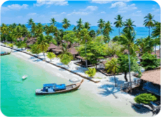 Holiday packages